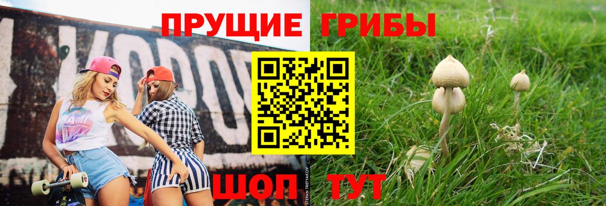 Псилоцибиновые грибы GOLDEN TEACHER  Вход с VPN  Шарыпово 